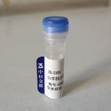 辣根酶标记山羊抗小鼠IgG（H+L）（亲和纯化）（ZB-2305）