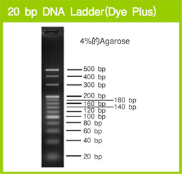 takara 20 bp dna ladder dye plus 3420a