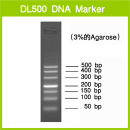 dl2000marker图谱,dl1000marker图谱 takara dl500 dna marker(3590a)